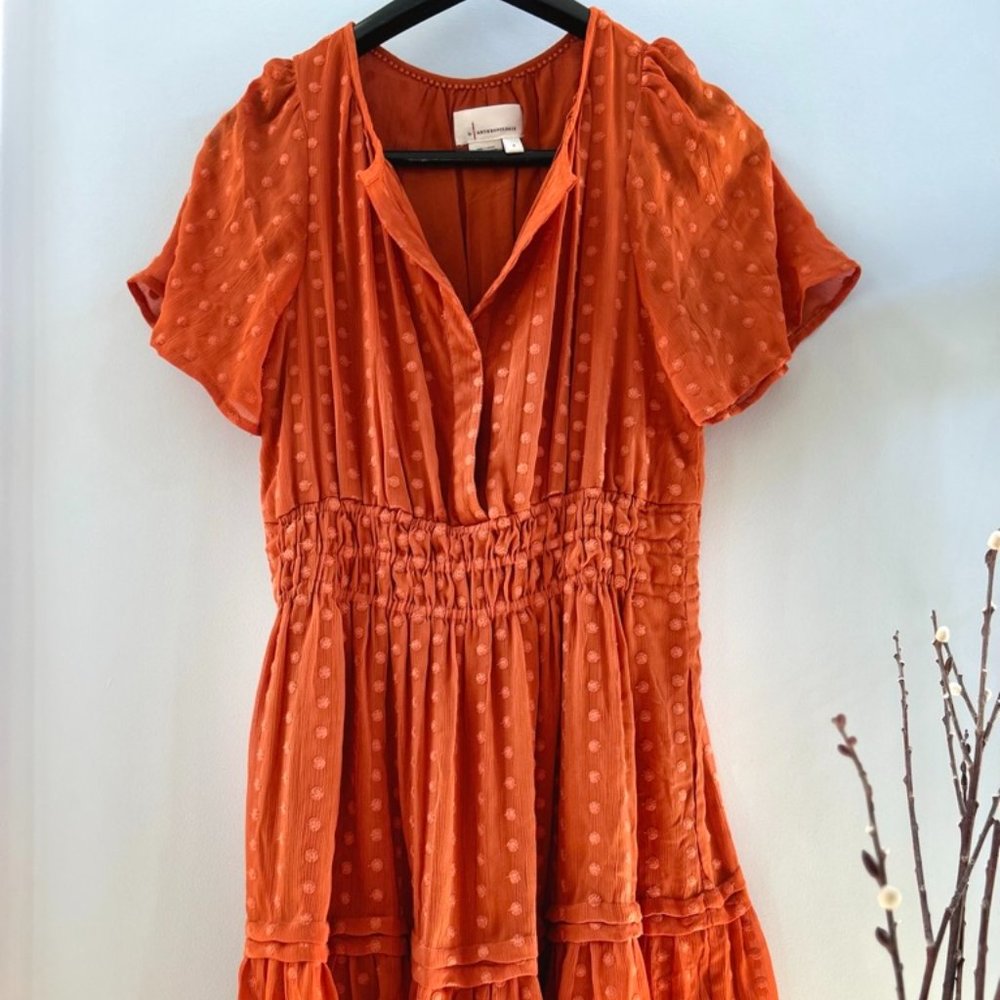 Anthropologie- Swiss Dot Dress